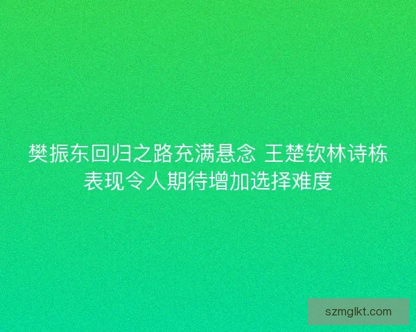 樊振东回归之路充满悬念 王楚钦林诗栋表现令人期待增加选择难度 樊振东回归之路充满悬念 王楚钦林诗栋表现令人期待增加选择难度